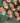 FIDE Candidates 2026 signed by winners poster